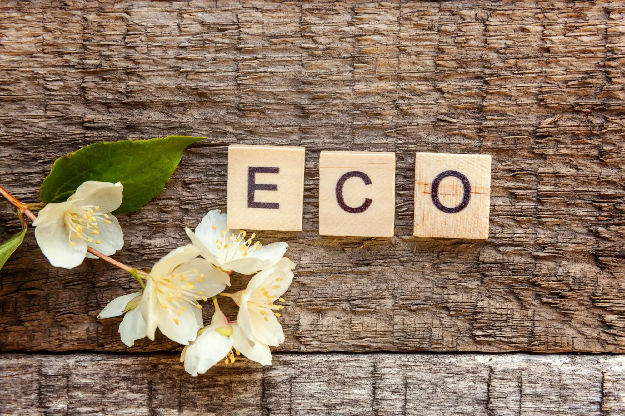 Sustainable Property Management: Eco-Friendly Practices in NH